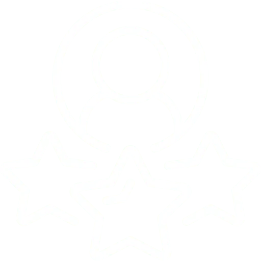 Experience and Expertise Icon