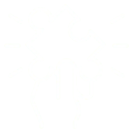 Experience and Expertise Icon