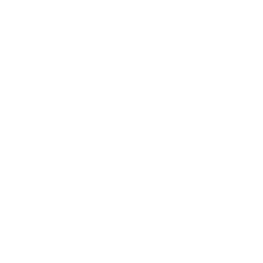 Experience and Expertise Icon