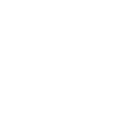 Audit Ready
